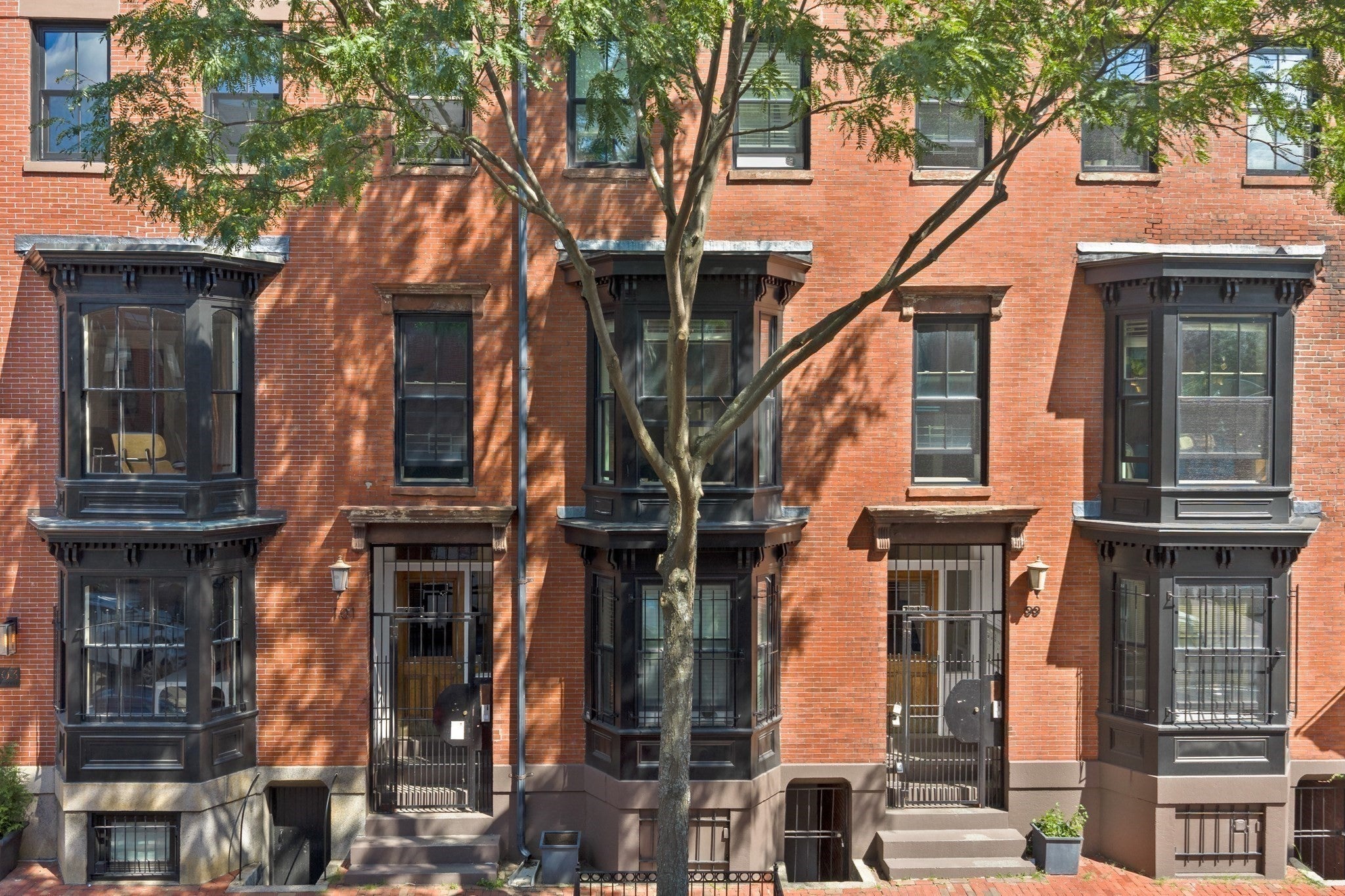 99 + 101 W Springfield St Boston, MA 02118
