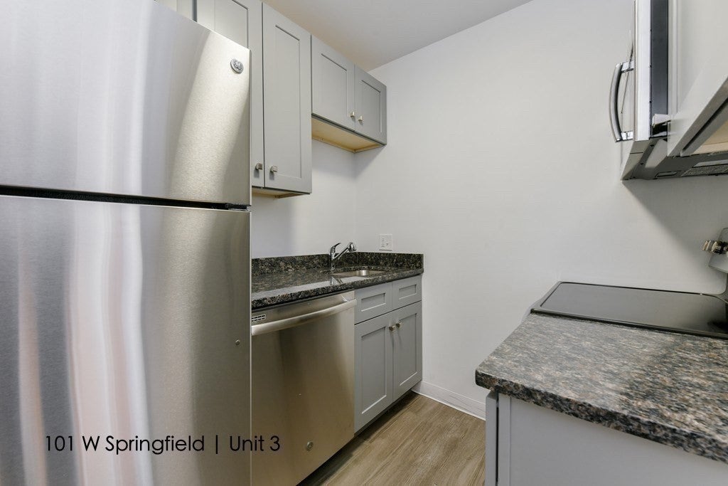 99 + 101 W Springfield St Boston, MA 02118