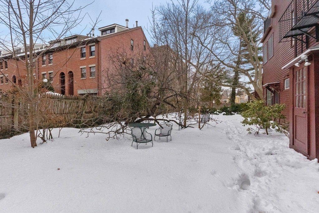 352 Harvard St #1C Cambridge, MA 02138