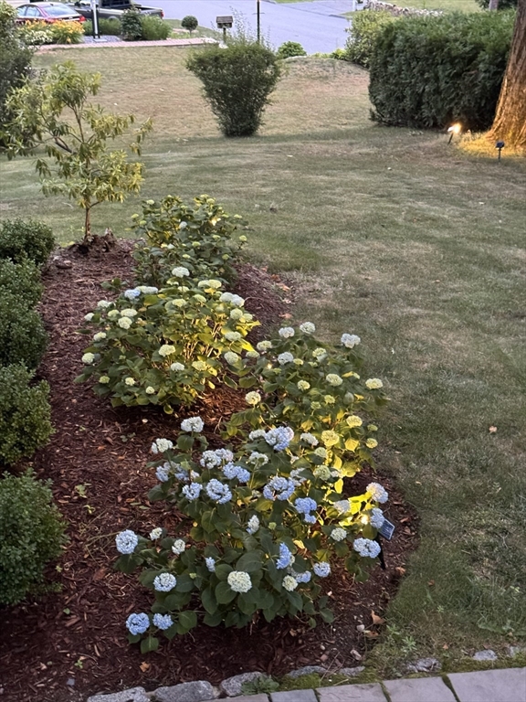 17 Wakefield St Reading, MA 01867