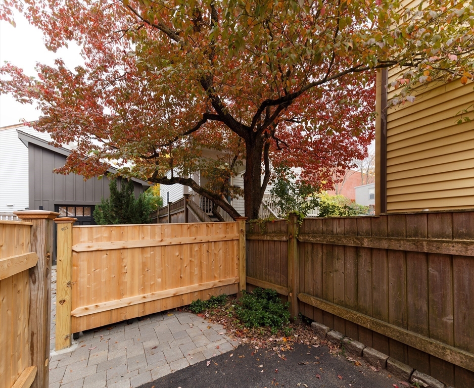 244 Norfolk St #244 Cambridge, MA 02139