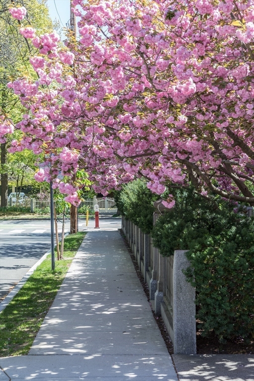 157 Brattle St Cambridge, MA 02138