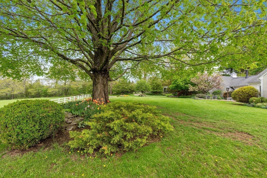 38 Bullard St Sherborn, MA 01770