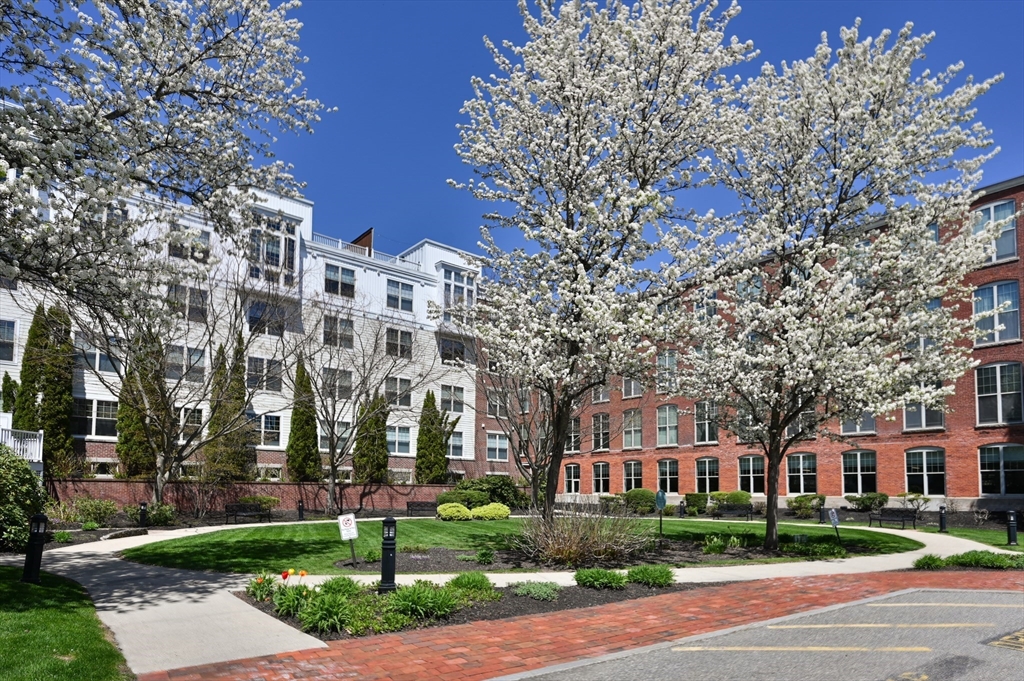 248 Albion St #324 Wakefield, MA 01880